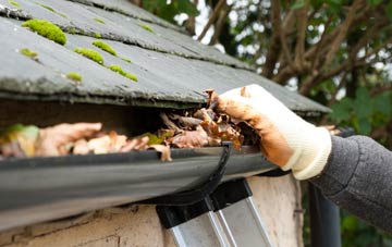 gutter cleaning Lower Broxwood, Herefordshire